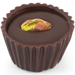 Dark Chocolate|Fruity Chocolate<Hotel Chocolat Raspberry & Pistachio Chocolate Selector