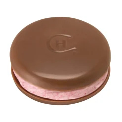 Fruity Chocolate|Patisserie Chocolate<Hotel Chocolat Raspberry Macarons